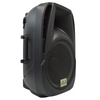 Professional 2000W 15" PA System Speaker