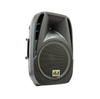 Professional 2000W 15" PA System Speaker 2 UHF Wireless Mics LED Light MU-U15PA
