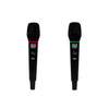 2000W PA System Wireless Microphones