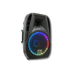 Professional 2000W 15" PA System Speaker 2 UHF Wireless Mics LED Light MU-U15PA