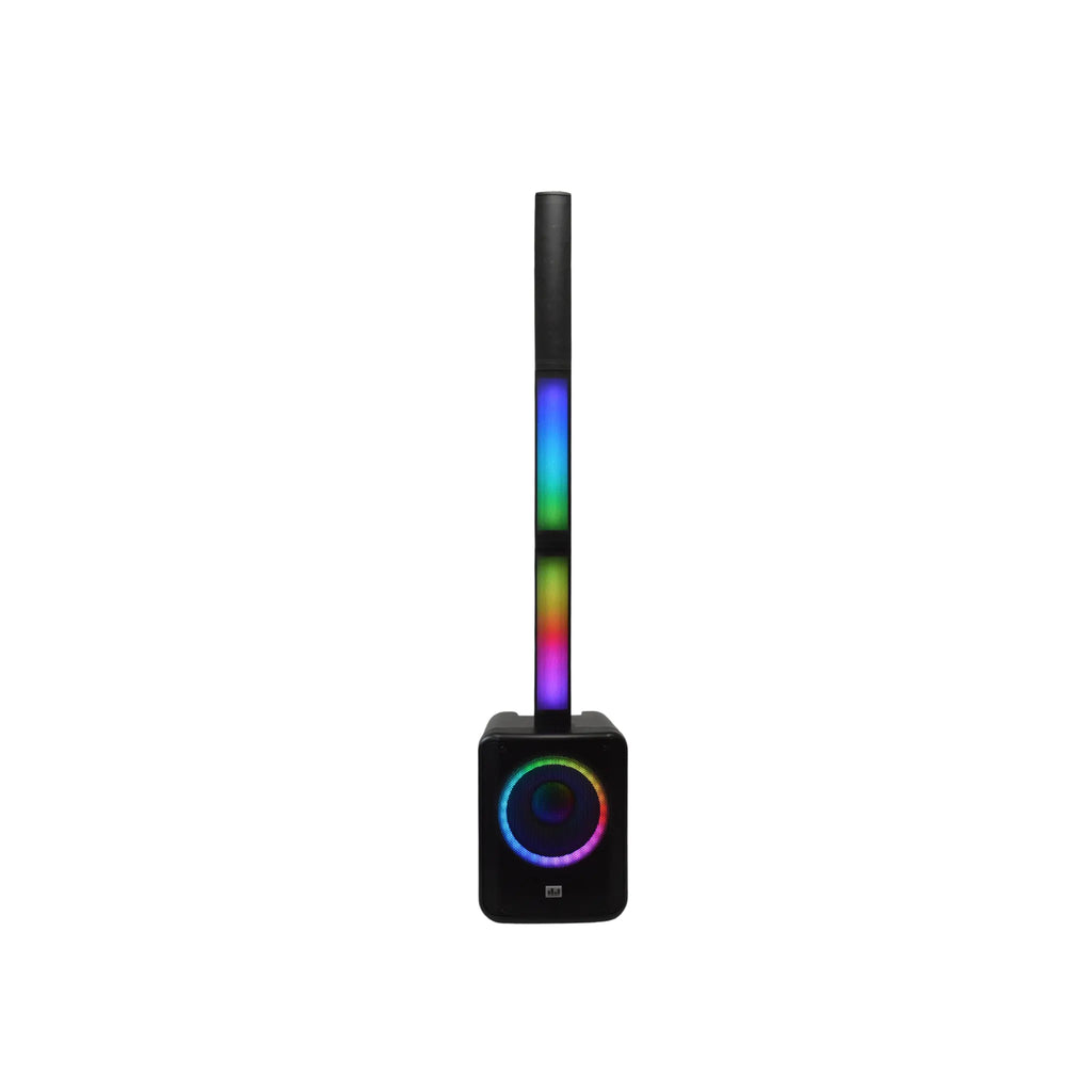2 channel column pa system