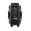 Professional 2000W 15" PA System Speaker 2 UHF Wireless Mics LED Light MU-U15PA
