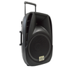 2000W 15" PA System Speaker