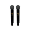2 Channel Column PA System 2000W 12" Bass with 2 UHF Microphones