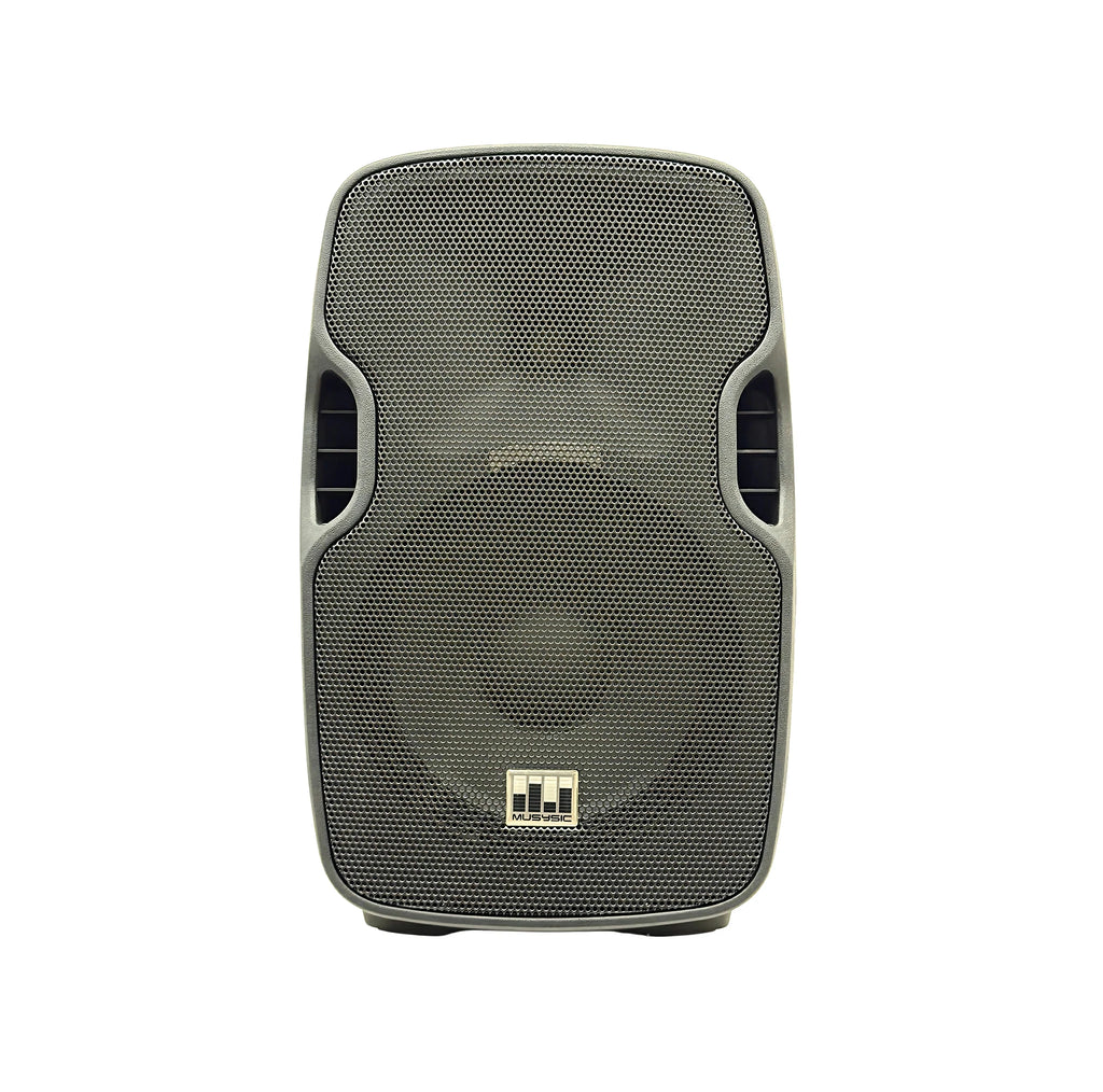 Professional 12" 1000 Watts Passive Speaker