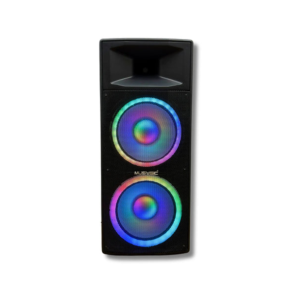 dual-15-inch-speaker-