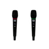 pair of professional wireless microphones