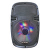 Portable 8" Powered Speaker